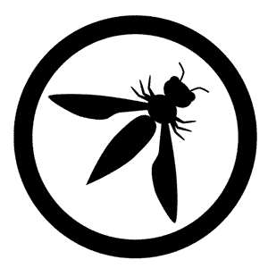 OWASP Top 10 2025: Insecure Data Handling