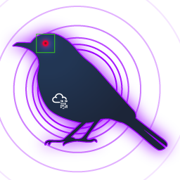 Room Atomic Bird Goes Purple #1