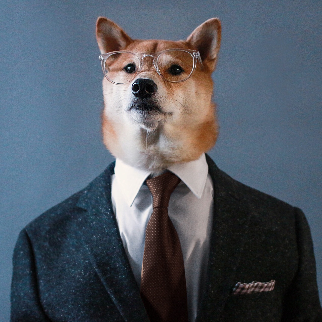 TryHackMe profile picture for @magnetic