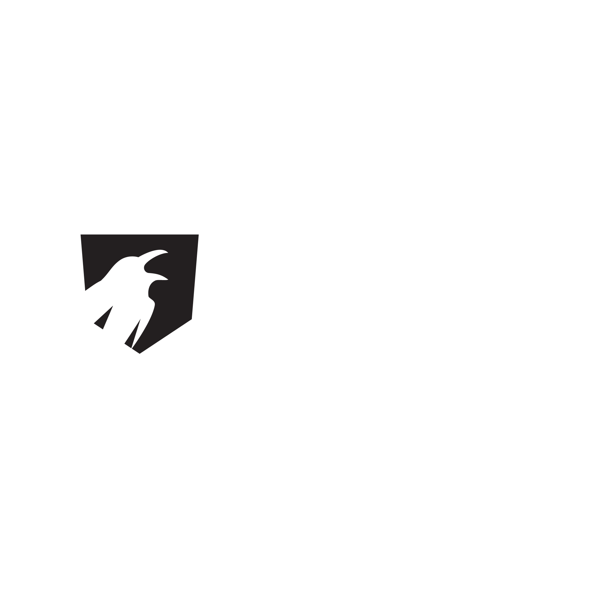 TryHackMe profile picture for @whiteraven