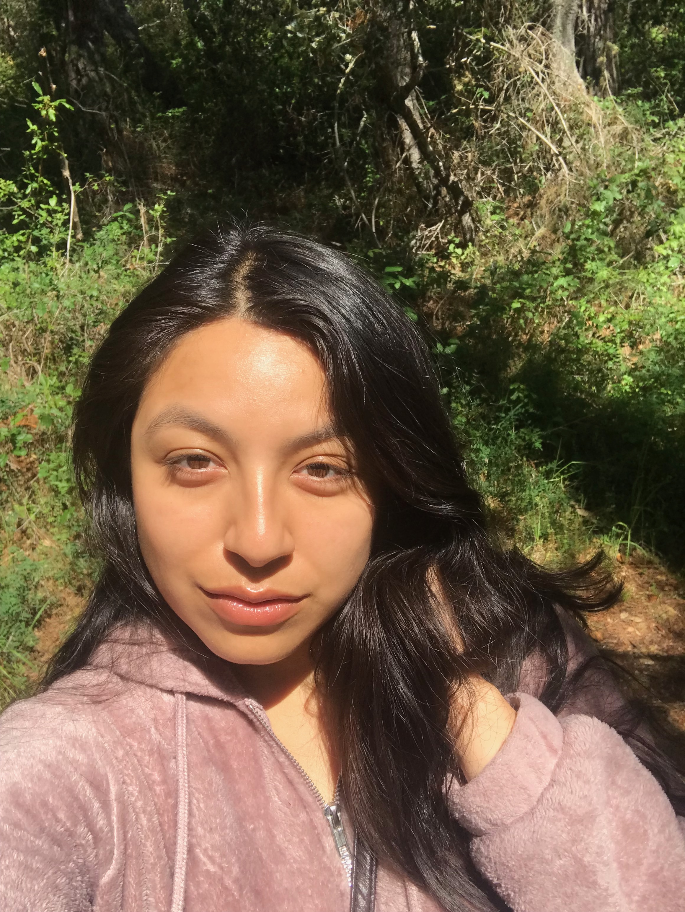 Tryhackme jasminv