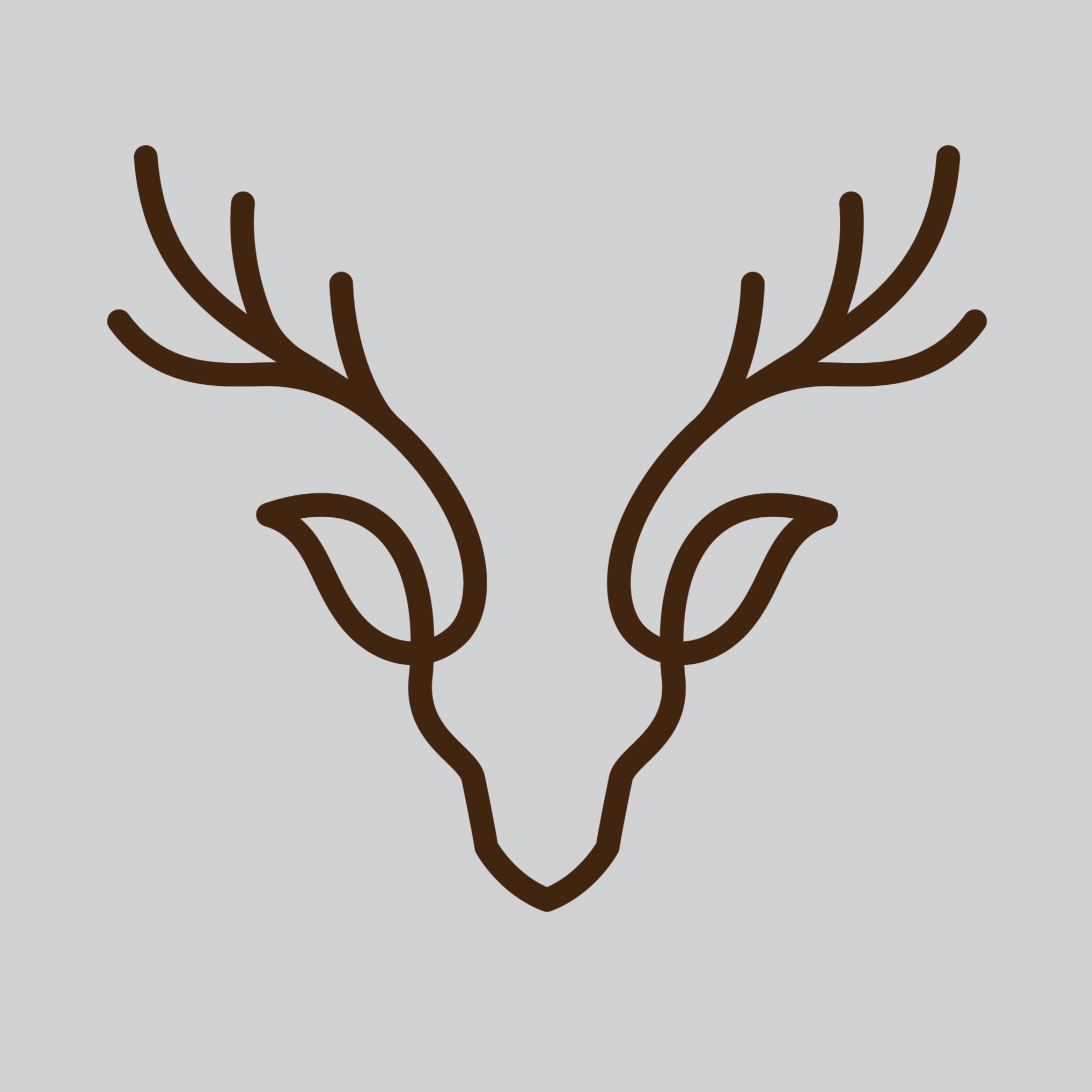 TryHackMe profile picture for @elk