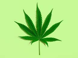 TryHackMe profile picture for @marijuana