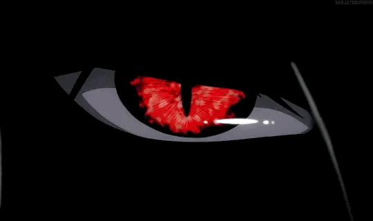 User profile photo.
