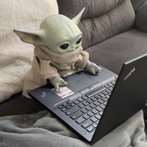 User profile photo.