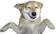 User profile photo.
