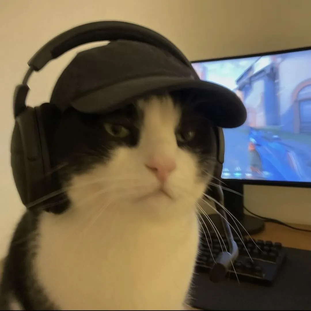 User profile photo.