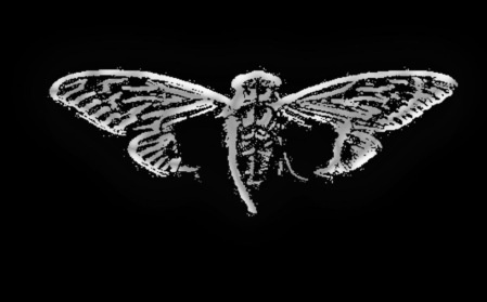 TryHackMe profile picture for @bedbugs
