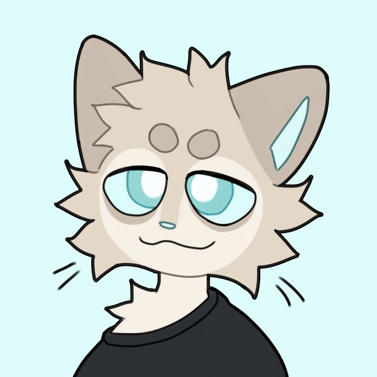 TryHackMe profile picture for @wry