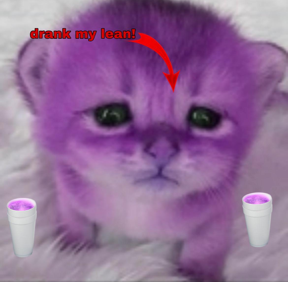 TryHackMe profile picture for @ngel