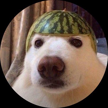 TryHackMe profile picture for @payload