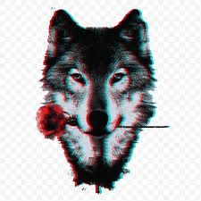 TryHackMe profile picture for @wolfgang