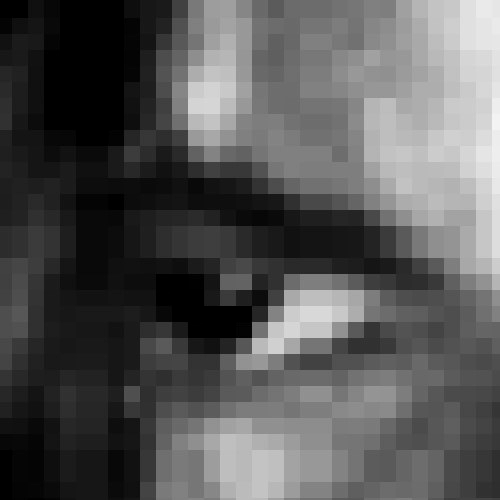 User profile photo.
