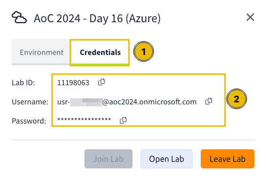 Viewing the credentials in the Credentials tab.