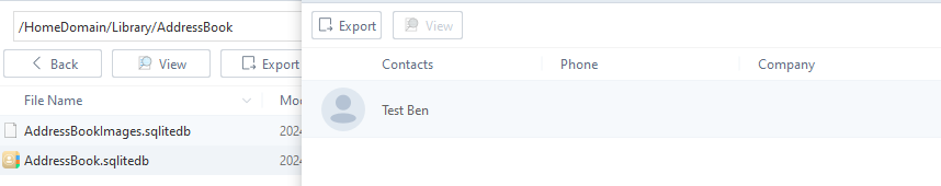 A view of the address book that has been extracted
