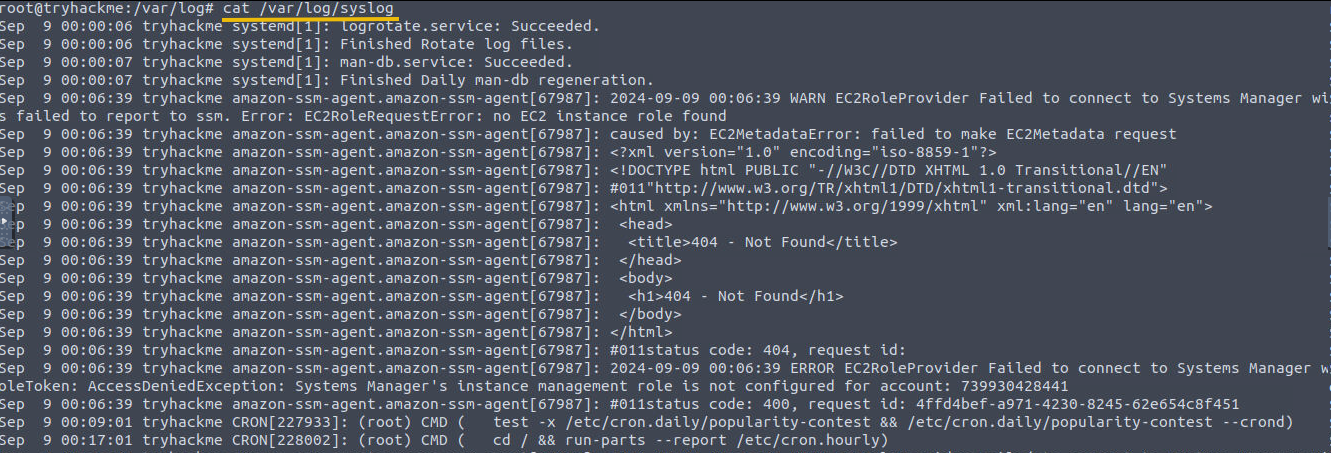 Shows syslog content