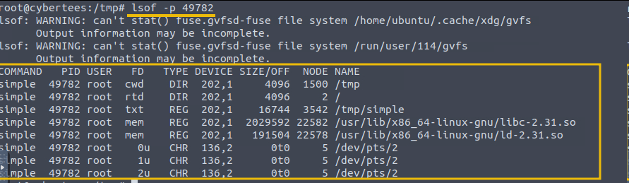 Shows lsof output