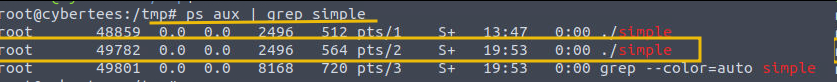 Shows ps aux output