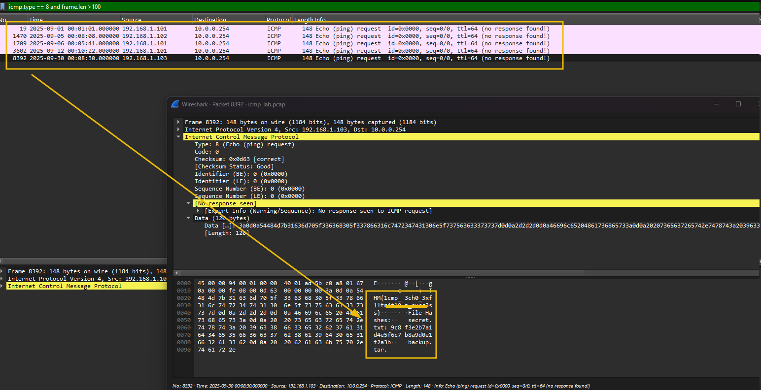 Wirehark showing icmp filtered traffic