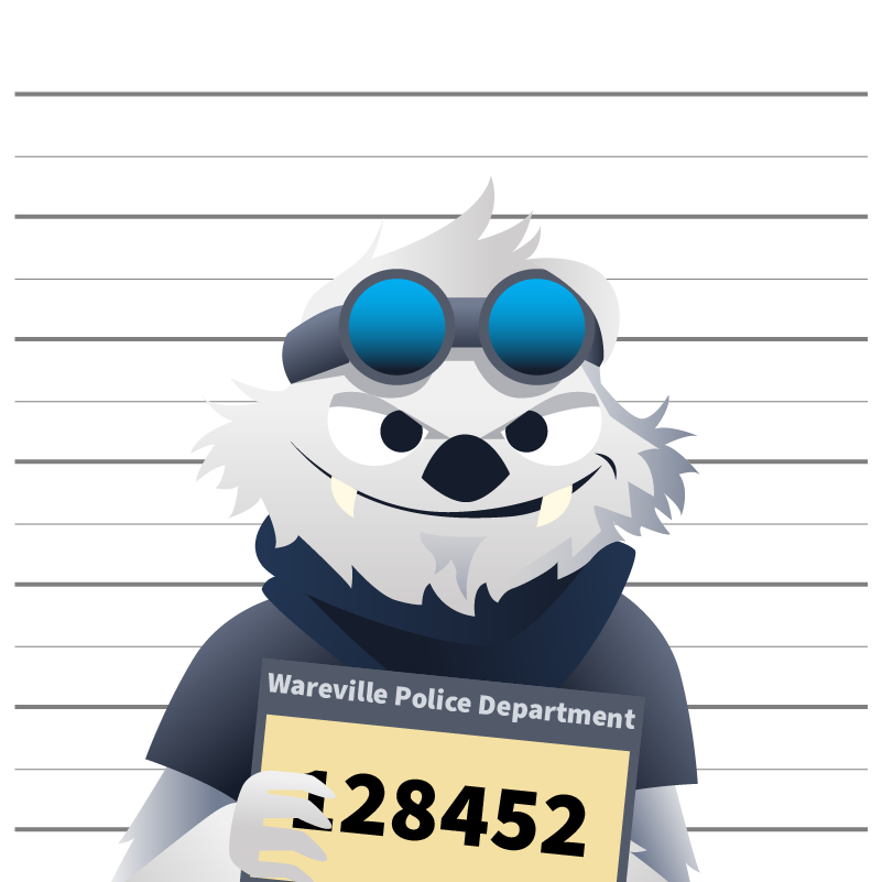 Blizzard Bear