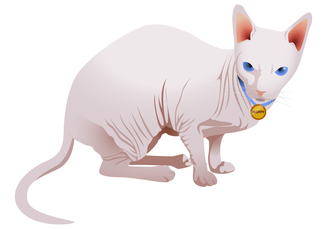 Mayor Malware's cat