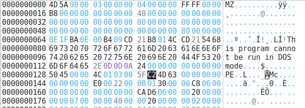 File structure of a Windows executable, showing the MZ header value.