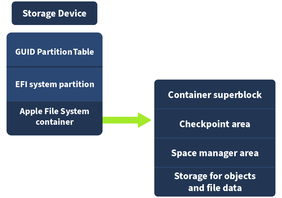 A breakdown of the APFS volume on a disk drive