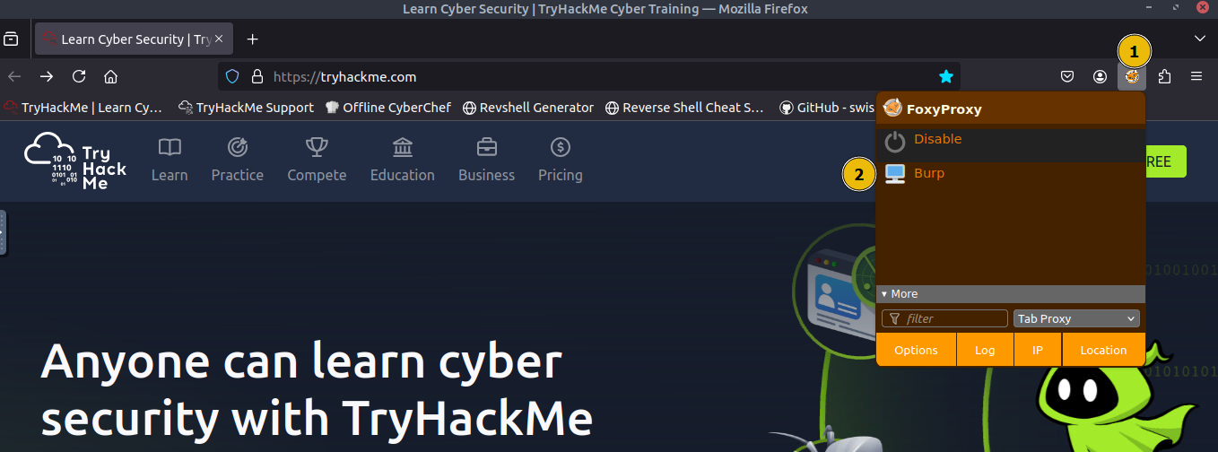 Firefox window to select Burp profile.