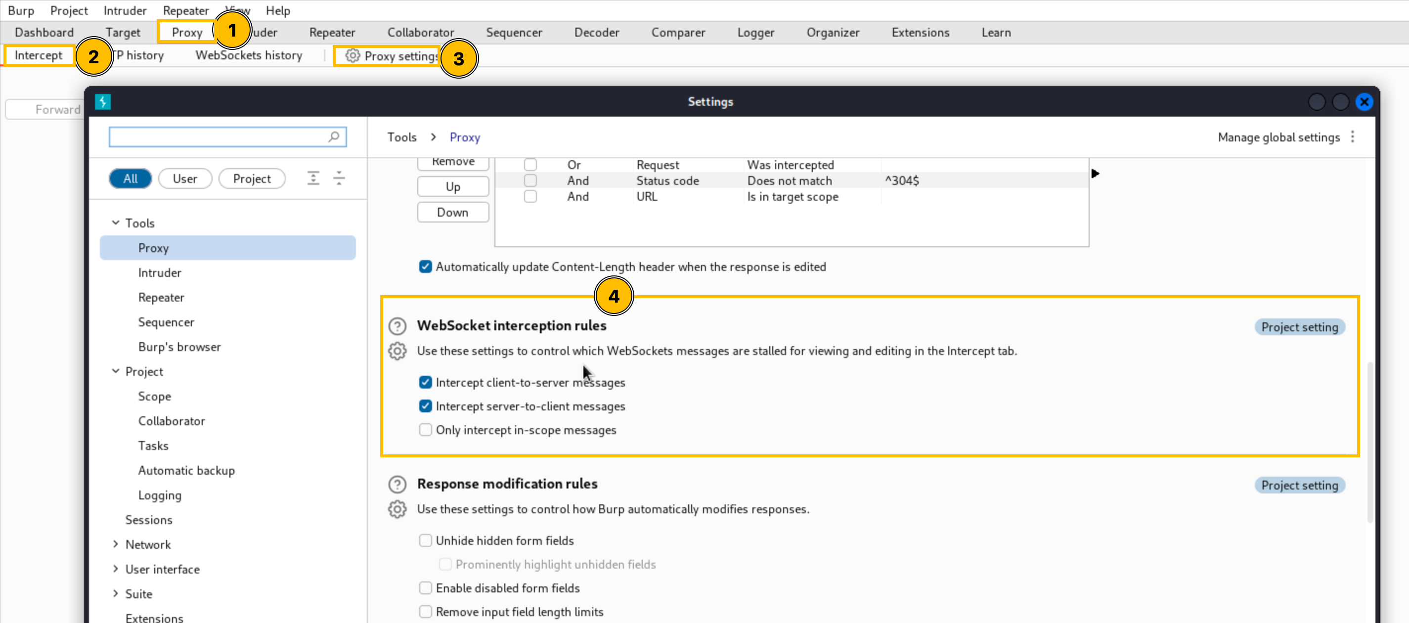 Burp Suite configurations to capture web traffic for websockets.