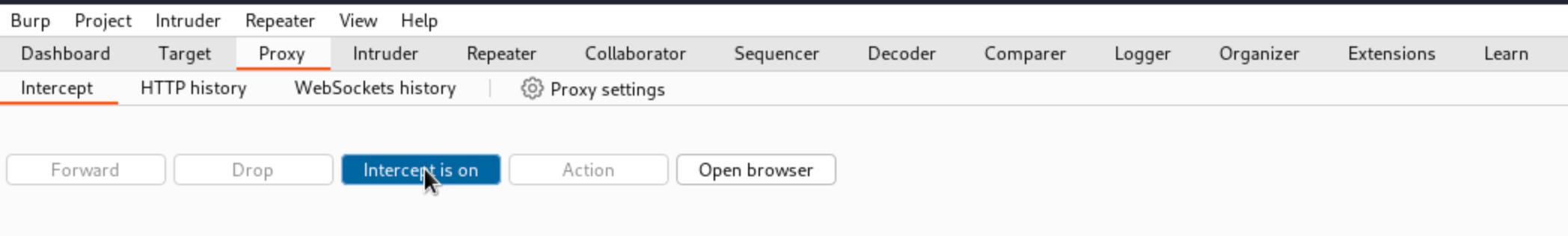 Enabling the Proxy Intercept