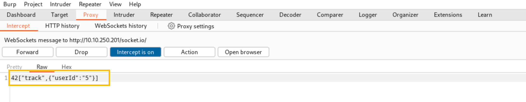 Traffic from the web is captured showing user with ID number 5 being tracked.