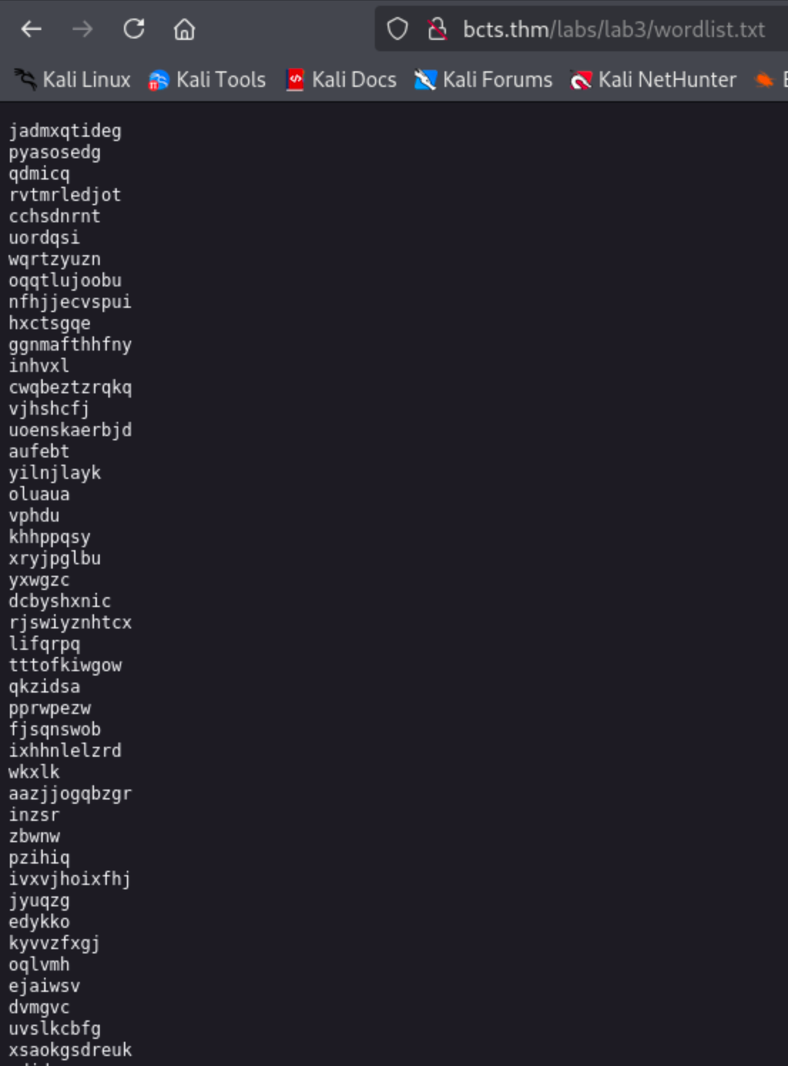 Wordlist in the web app