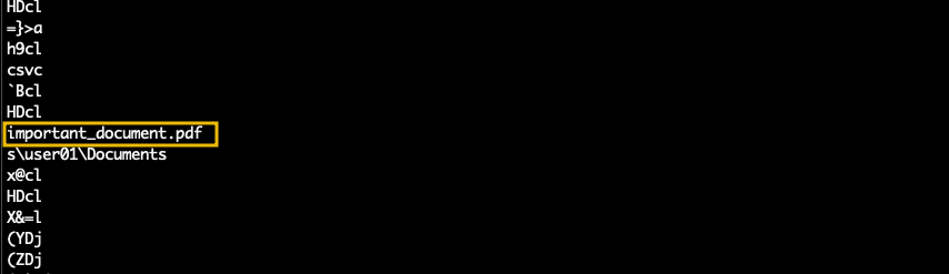 The image display the strings output highlighting the document important_document.pdf 