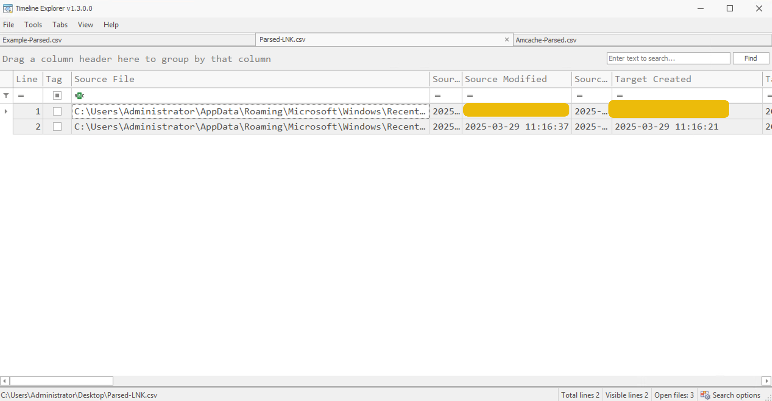 Parsed LNK file in the Timeline Explorer tool.