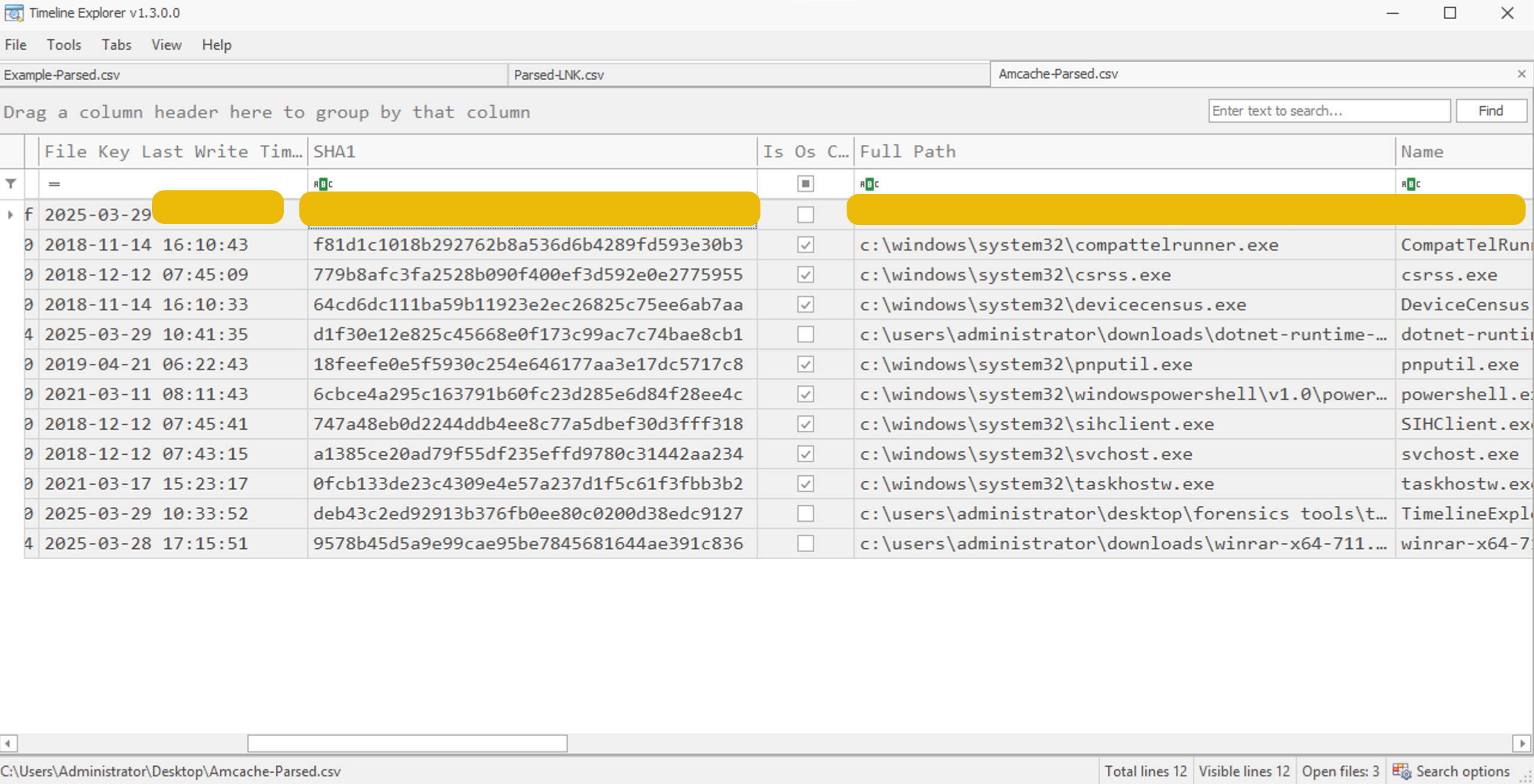 Parsed amcache files in the Timeline Explorer tool.