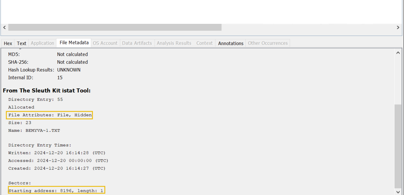 Autopsy: Case - Main - File Information - File Metadata - istat info