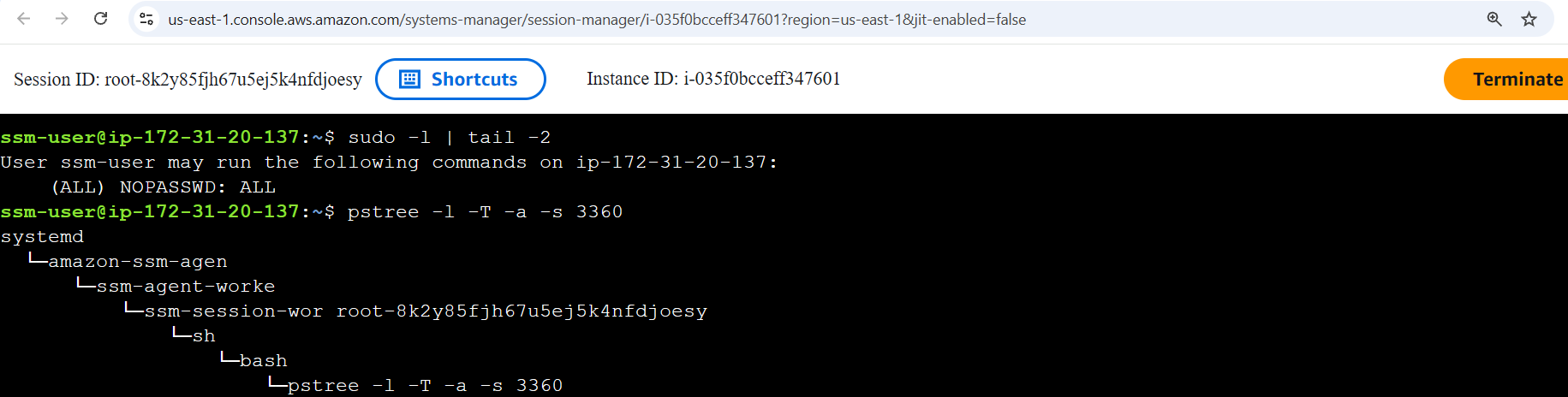 AWS Systems Manager Session Manager browser session showing a terminal connected to an EC2 instance, with commands displaying sudo permissions and a process tree (pstree) highlighting the amazon-ssm-agent, session worker, shell, and bash processes.