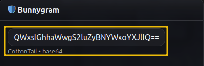 Example of encoded Bunnygram chat