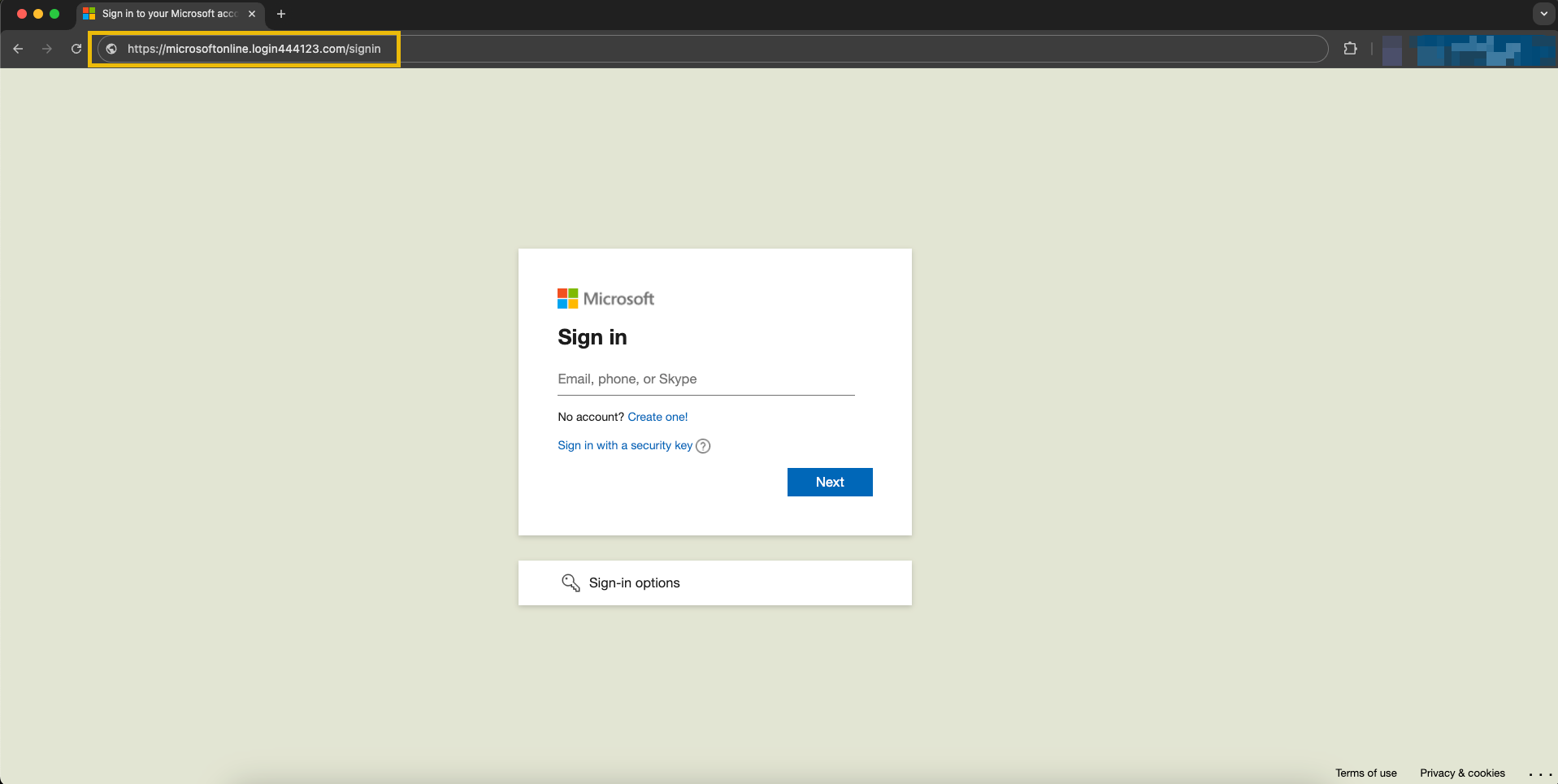 Sample Office 365 fake login page.