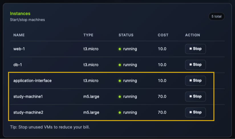 Screenshot of the Instances section highlighting the new cloud instances created.